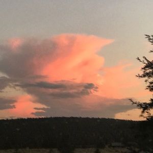 Meet your Posher, Apri